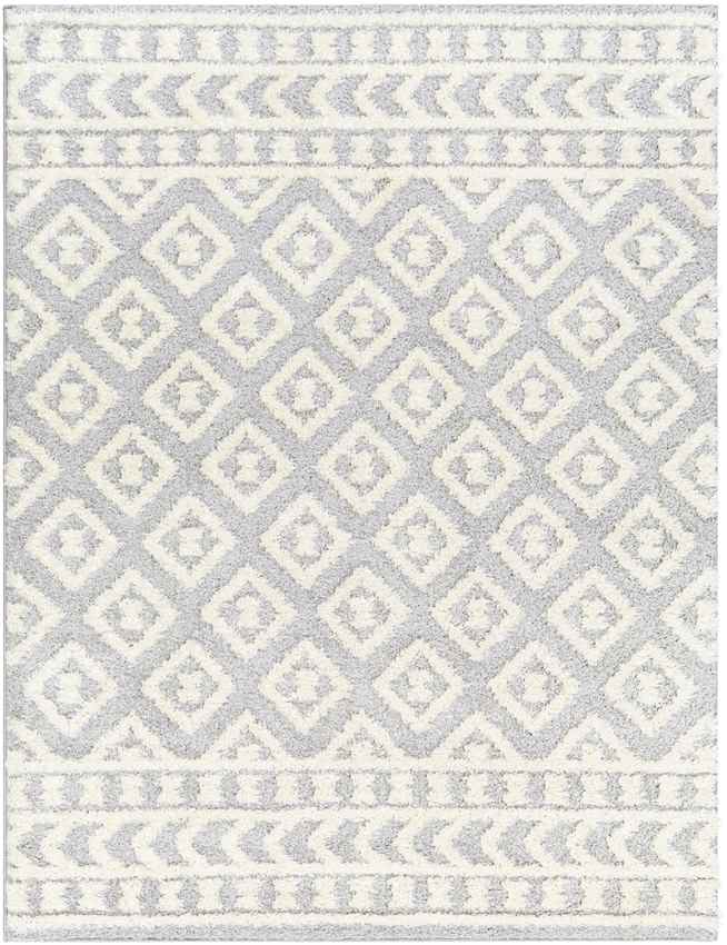 Shatora Modern Light Gray Area Rug