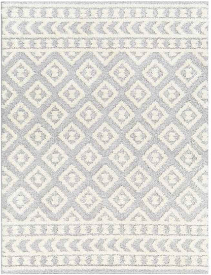 Shatora Modern Light Gray Area Rug