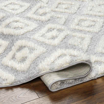 Shatora Modern Light Gray Area Rug