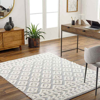 Shatora Modern Light Gray Area Rug