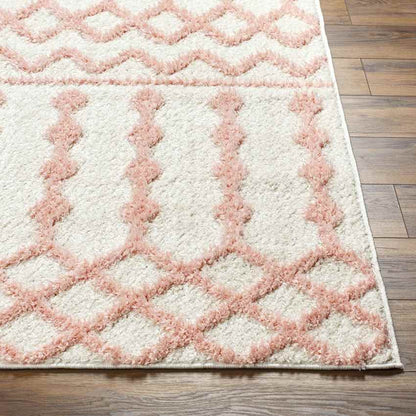 Daris Modern Coral Area Rug