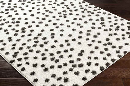 Nyisha Modern Black/Ivory Area Rug