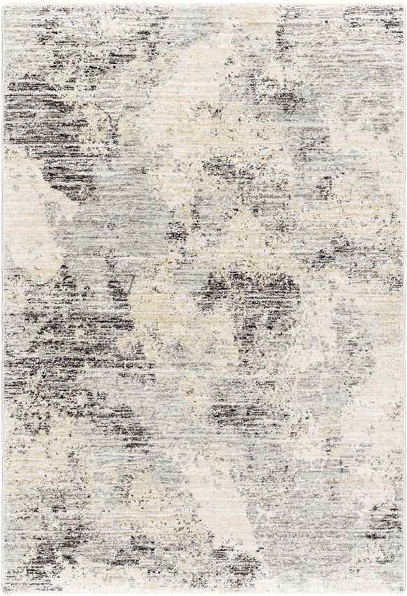 Sahwn Modern Black/Light Gray Area Rug