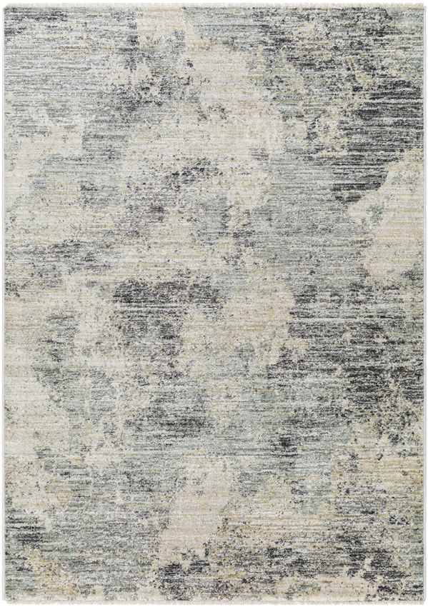 Sahwn Modern Black/Light Gray Area Rug