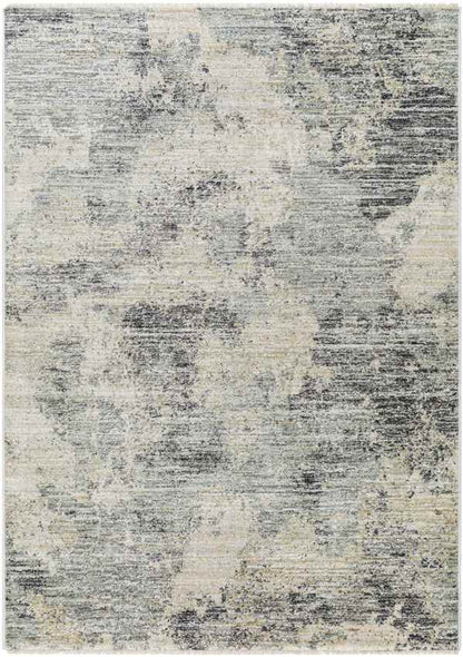 Sahwn Modern Black/Light Gray Area Rug