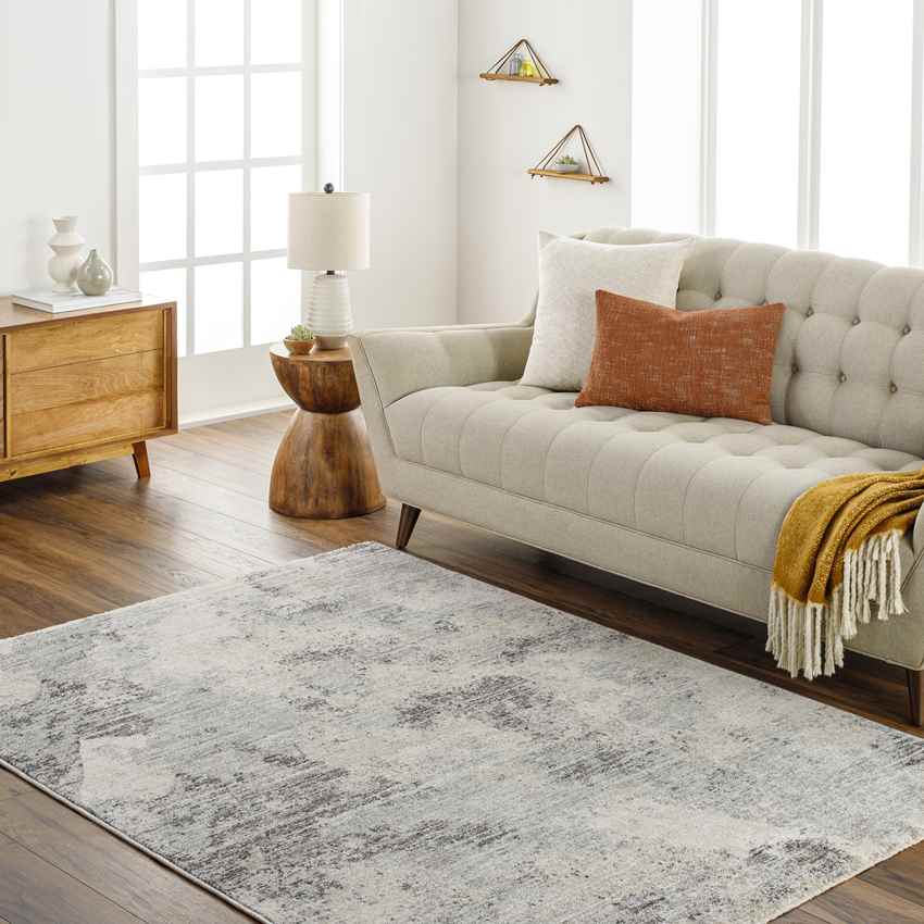 Sahwn Modern Black/Light Gray Area Rug