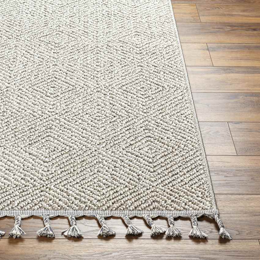 Jeran Modern Mocha Area Rug