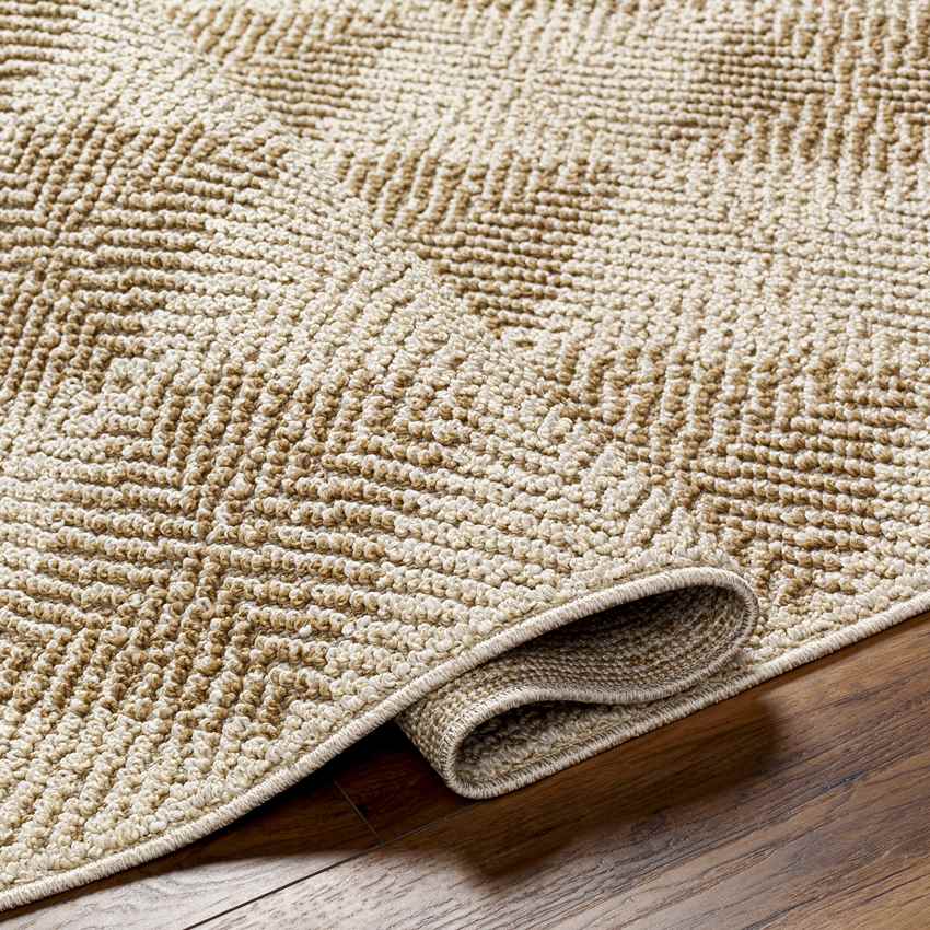 Jeran Modern Brown Area Rug