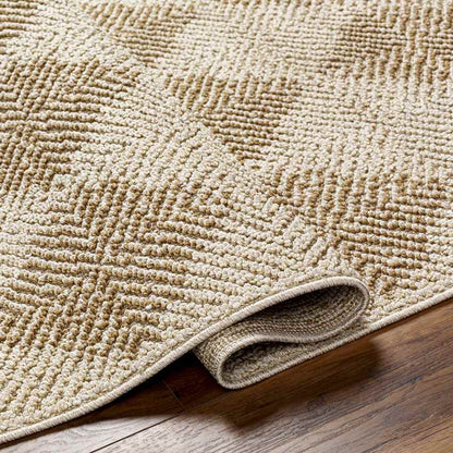 Jeran Modern Brown Area Rug