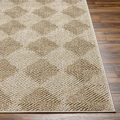 Jeran Modern Brown Area Rug