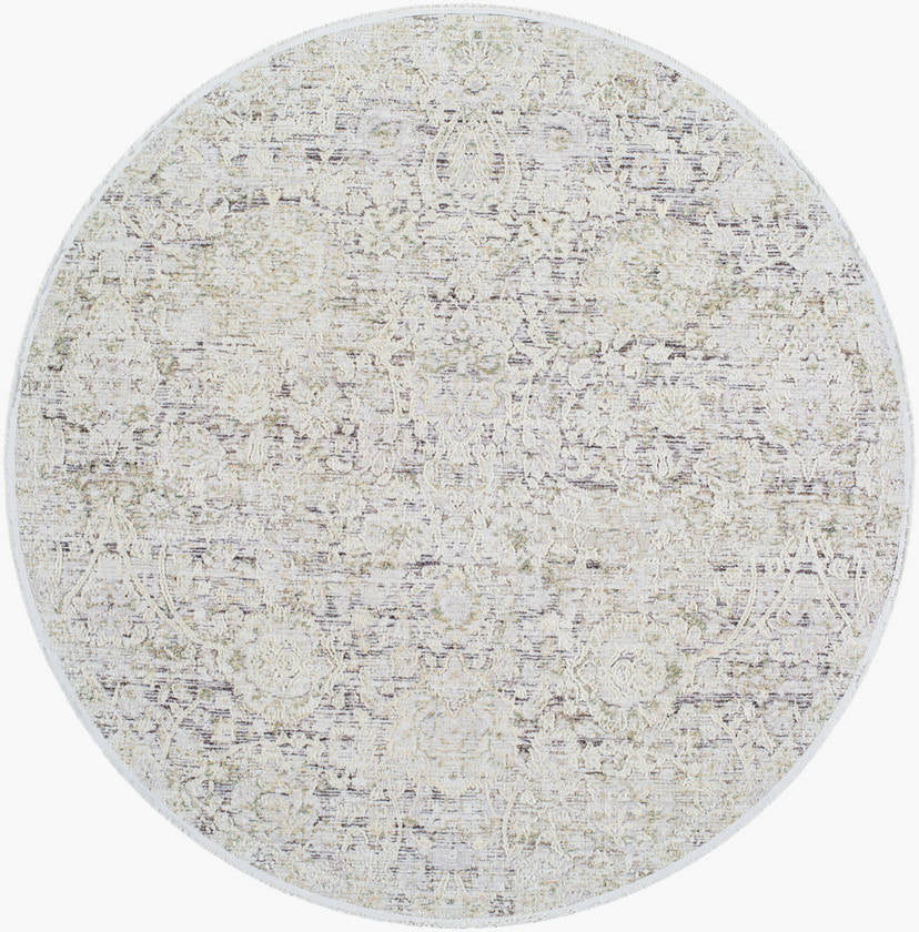 Miquel Traditional Medium Gray/Beige Area Rug