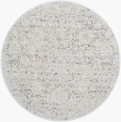 Miquel Traditional Medium Gray/Beige Area Rug