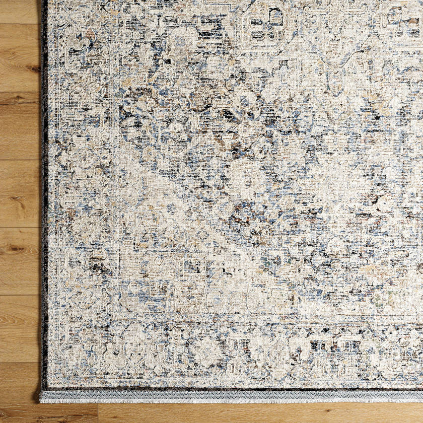 Miquel Traditional Medium Gray/Beige Area Rug