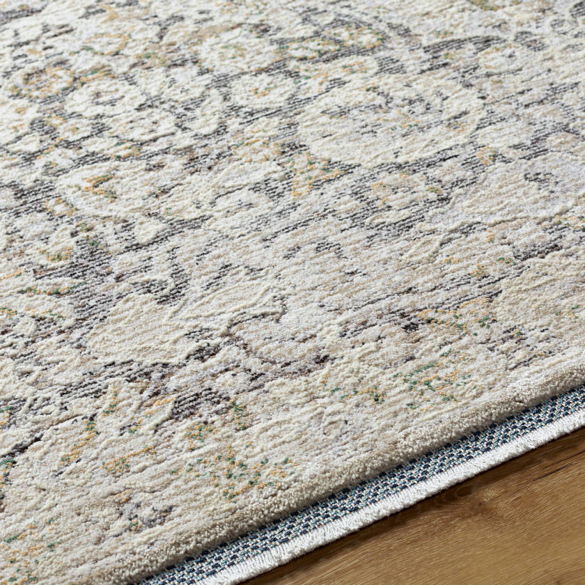 Miquel Traditional Medium Gray/Beige Area Rug