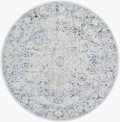 Darnetta Traditional Denim/Beige Area Rug