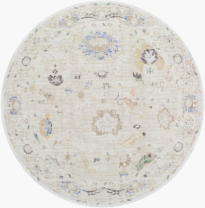 Jamena Traditional Beige Area Rug