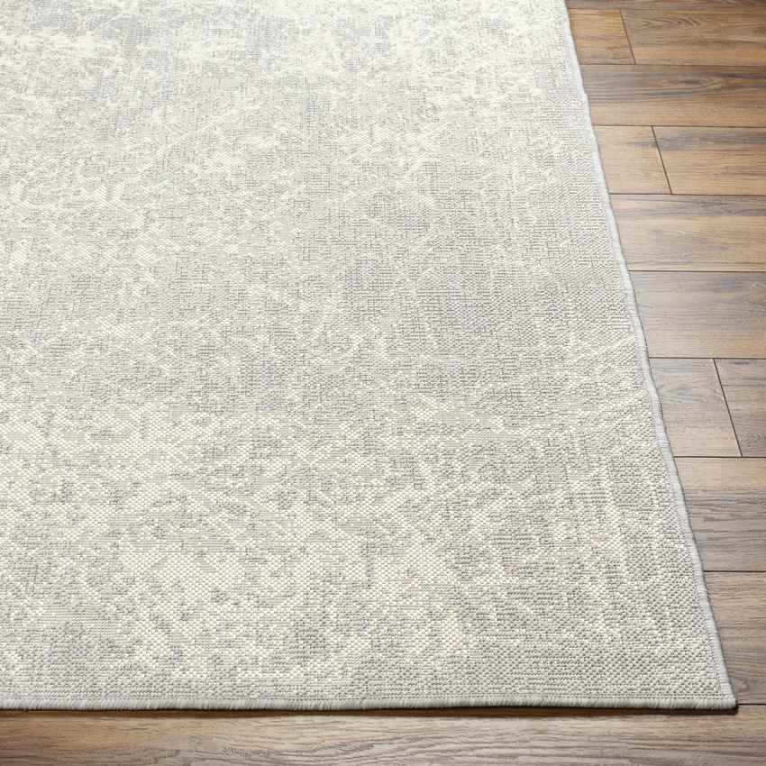 Ileana Modern Light Gray/Ivory Area Rug