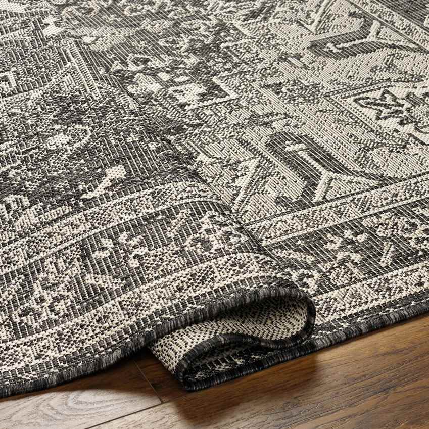 Effrey Traditional Black/Cream Area Rug