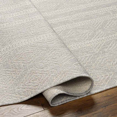 Christophr Global Light Gray/Cream Area Rug