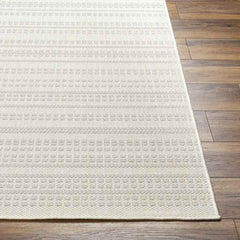 Biagio Modern Light Gray/Cream Area Rug