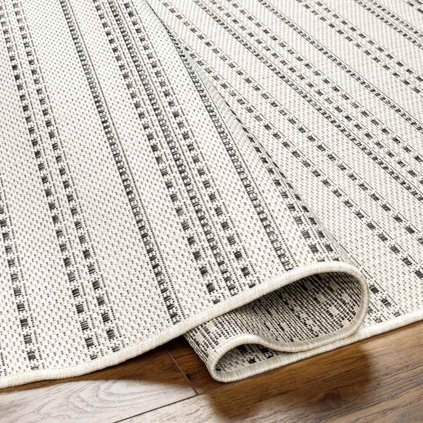 Biagio Modern Black/Cream Area Rug