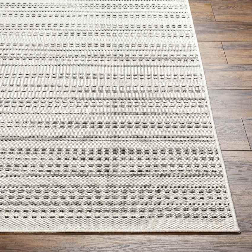 Biagio Modern Black/Cream Area Rug