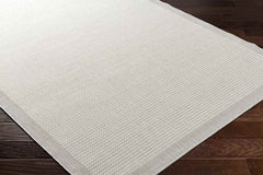 Camillia Modern Light Gray/Ivory Area Rug