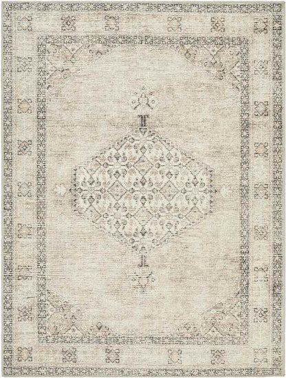 Lila Traditional Blush/Beige Area Rug - Becki Owens x Livabliss