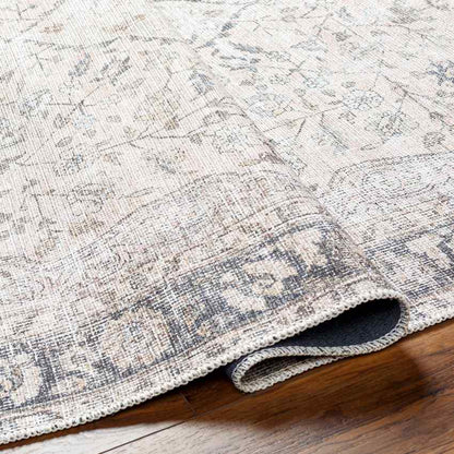 Sederick Traditional Blush Washable Area Rug