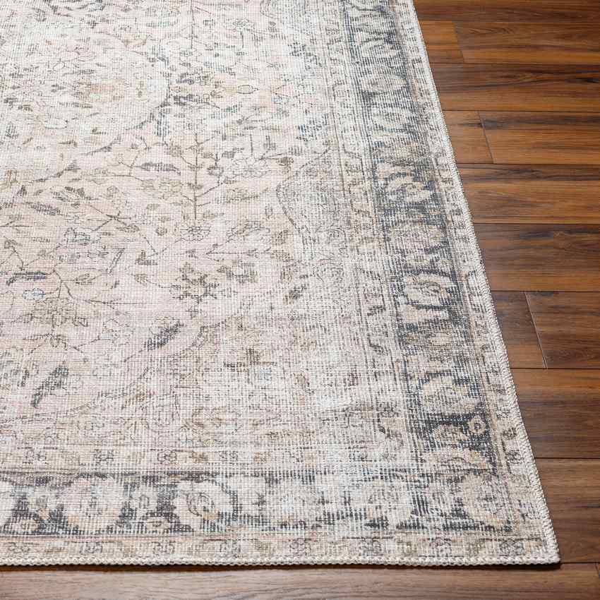 Sederick Traditional Blush Washable Area Rug