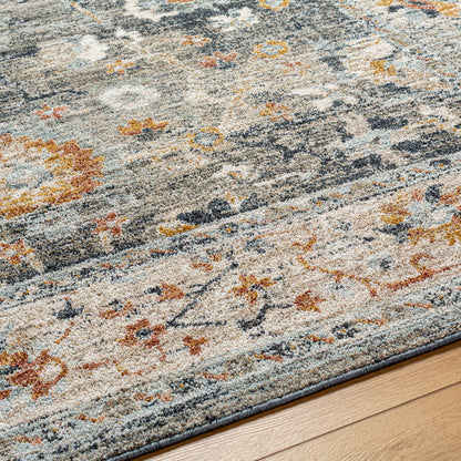 Anesia Traditional Charcoal/Dark Blue Area Rug