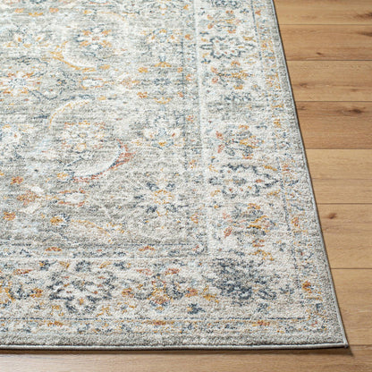 Stepfon Traditional Medium Gray Area Rug