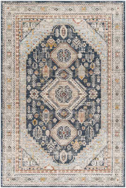 Tiwanna Traditional Charcoal Area Rug
