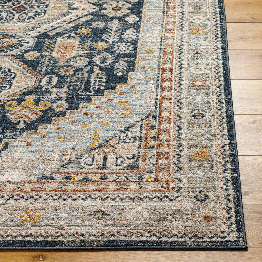 Tiwanna Traditional Charcoal Area Rug