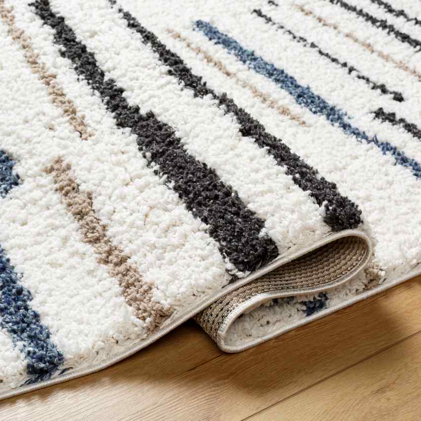 Renard Modern Ivory Area Rug