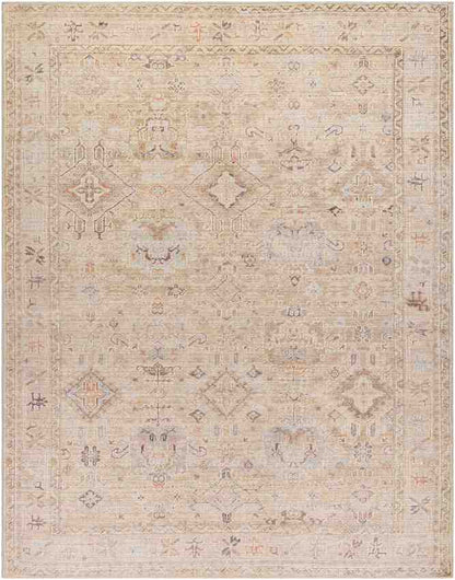 Marlene Traditional Medium Brown Area Rug - Becki Owens x Livabliss