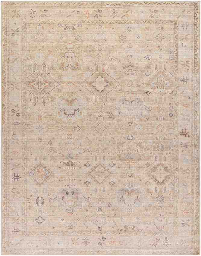 Marlene Traditional Medium Brown Area Rug - Becki Owens x Livabliss