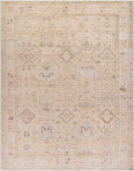 Marlene Traditional Medium Brown Area Rug - Becki Owens x Livabliss