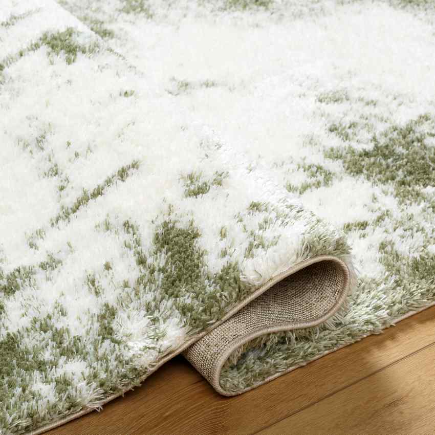 Carlise Modern Dark Moss Area Rug