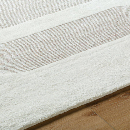 Carla Modern Taupe Area Rug