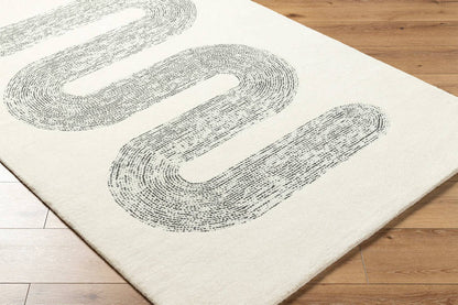 Carla Modern Charcoal Area Rug