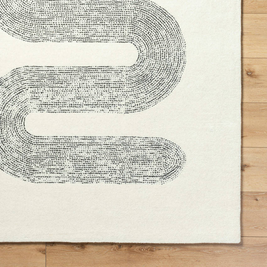 Carla Modern Charcoal Area Rug