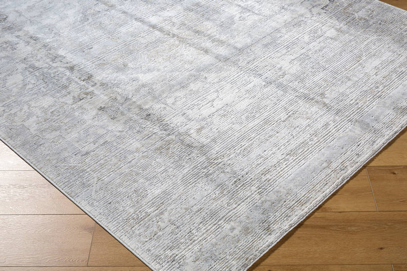 Zerrick Traditional Light Gray Area Rug