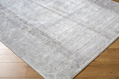 Zerrick Traditional Light Gray Area Rug