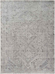 Tyanne Traditional Medium Gray Area Rug