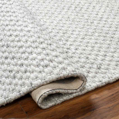 Antiono Cottage Ivory/Light Gray Area Rug