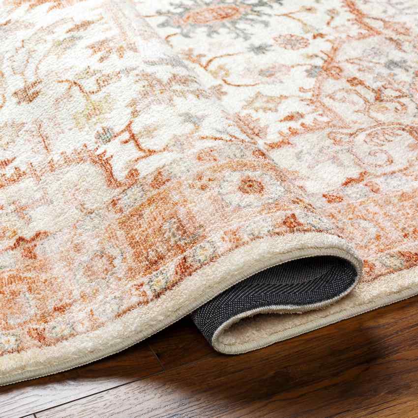 Heiereind Traditional Rust  Area Rug