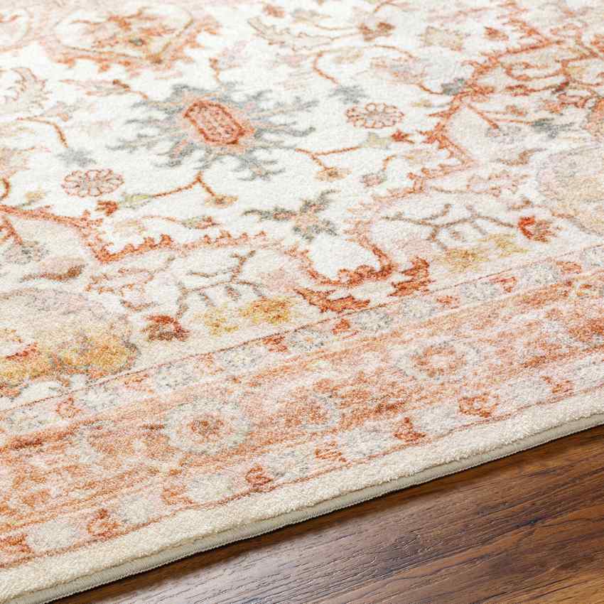 Heiereind Traditional Rust  Area Rug