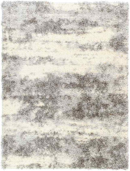 Evetta Modern Light Gray Area Rug