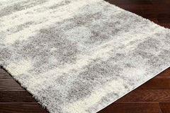Evetta Modern Light Gray Area Rug
